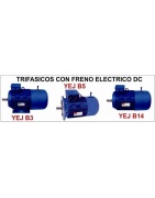 Motores con Freno Eléctrico 3000 RPM | Parada Precisa